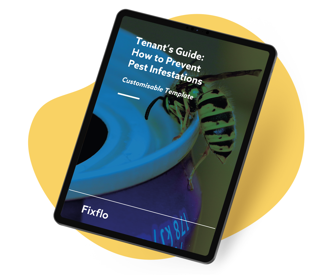 Tenant S Guide How To Prevent Pest Infestations Customisable Template